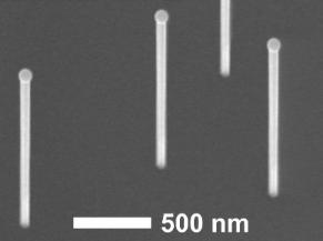 Imagen de nanohilos de arseniuro de galio crecidos sobre un sustrato de silicio. Sobre los nanohilos se pueden observar las gotas de galio que catalizan su crecimiento vertical. El resultado, nanohilos con una longitud 100 veces mayor a su diámetro.