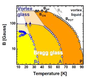 Unveiling the Vortex Glass Phase in the Surface and Volume of a Type-II Superconductor