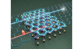 Spin and Hot Carrier Transport in Graphene