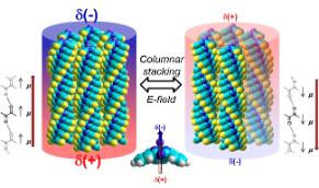Ferroelectric Self-assembled Molecular Materials Showing Both Rectifying And Switchable Conductivity