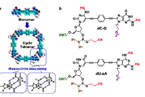 01-2020 Synthesis of phosphoramidite monomers equipped with complementary bases for solid-phase DNA oligomerization