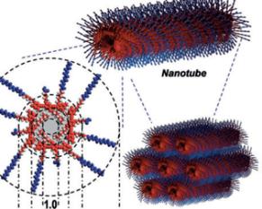04-2020 Nanotrucured Micelle Nanotubes Self-assembled from Dinucleobase Monomers in Water