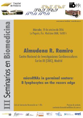 Cartel del Seminario: microRNAs in germinal centers: B lynphocytes on the razors edge