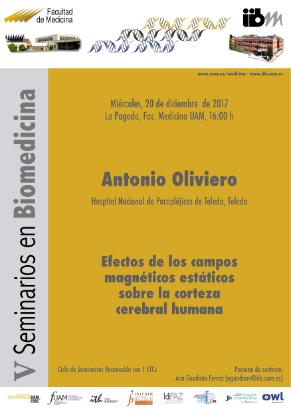 Cartel del Seminario: Efectos de los campos magnéticos estáticos sobre la corteza cerebral humana. Antonio Oliviero