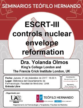 Cartel del Seminario Teófilo Hernando: «ESCRT-III controls nuclear envelope reformation»