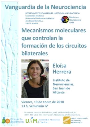 Cartel del Seminario: Mecanismos moleculares que controlan la formación de los circuitos bilaterales