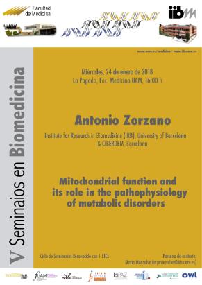 Cartel del Seminario: <i>Mitochondrial function and its role in the pathophysiology of metabolic disorders</i>