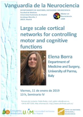Cartel del Seminario Vanguardia de la Neurociencia: <i>Large scale cortical networks for controlling motor and cognitive functions</i>