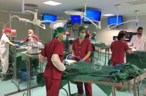 Participantes en el VI Workshop de Cirugía Laparoscópica Ginecológica Avanzada en Cadáver. Universidad Autónoma de Madrid, diciembre 2018