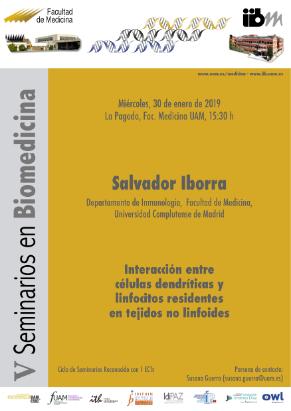 Cartel del Seminario: «Interacción entre células dendríticas y linfocitos residentes en tejidos no linfoides» impartido por el Dr. Salvador Iborra Dr. Salva