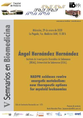 Cartel del Seminario: NADPH oxidases rewire energetic metabolism: new therapeutic options for myeloid leukaemias