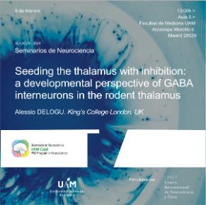 Cartel del seminario «Seeding the thalamus with inhibition: a developmental perspective of GABA interneurons in the rodent thalamus», impartido por Alessio Delogu, King’s College London, UK.