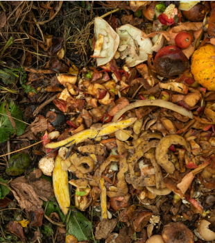 compost