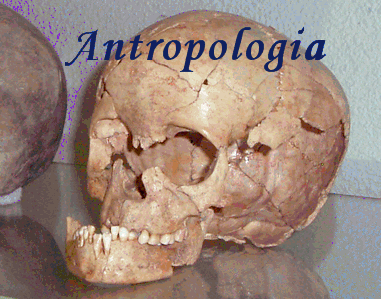 Proyectos de Investigación del Área de Antropología