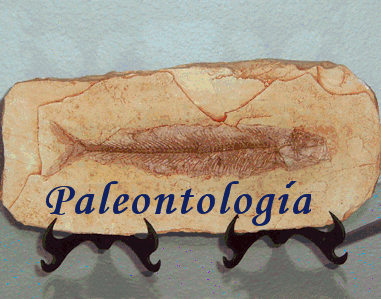Proyectos de Investigación del Área de Paleontología