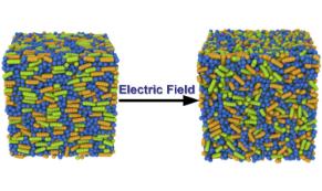 Driving Liquid Crystal Polymer Films to “dance” in Electric Fields