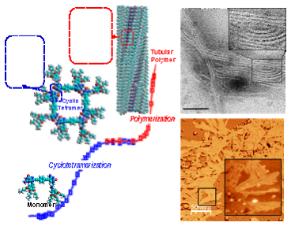 Nanotubos Autoensamblados de Poro Modulable