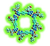 High-fidelity Noncovalent Synthesis of Hydrogen-bonded Macrocyclic Assemblies