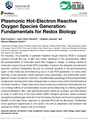 Plasmonic Hot-Electron Reactive Oxygen Species Generation: Fundamentals for Redox Biology 