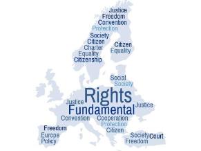 Experto en Derecho Europeo de los Derechos Fundamentales