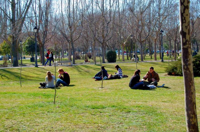 Some people have lunch on the grass under the radiant sun typical of Madrid winters