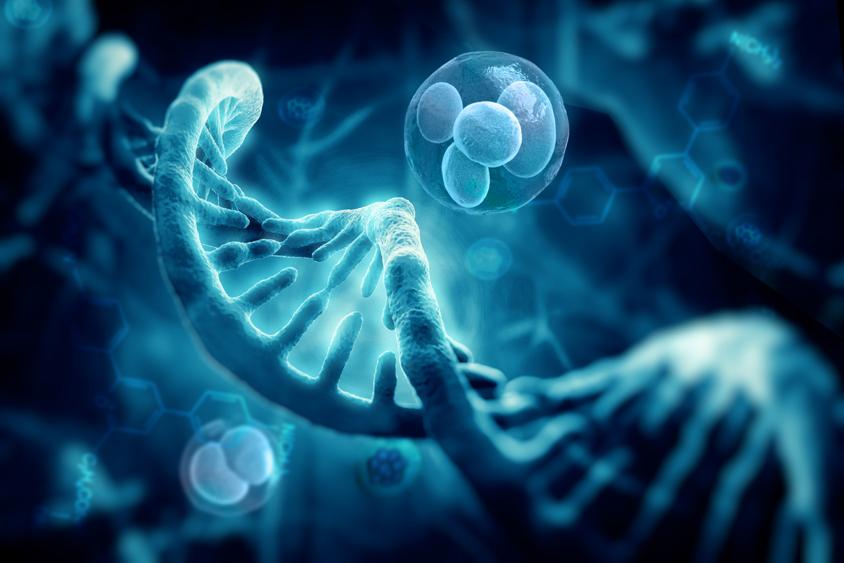 Programa de Doctorado en Biociencias Moleculares