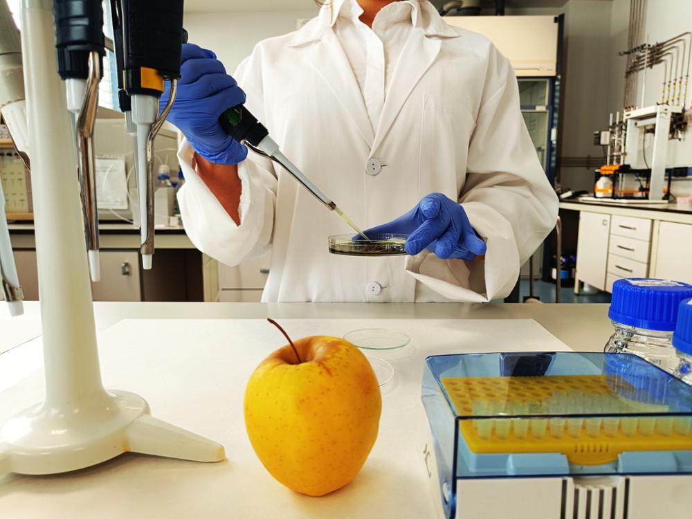 Programa de Doctorado en Ciencias de la Alimentación