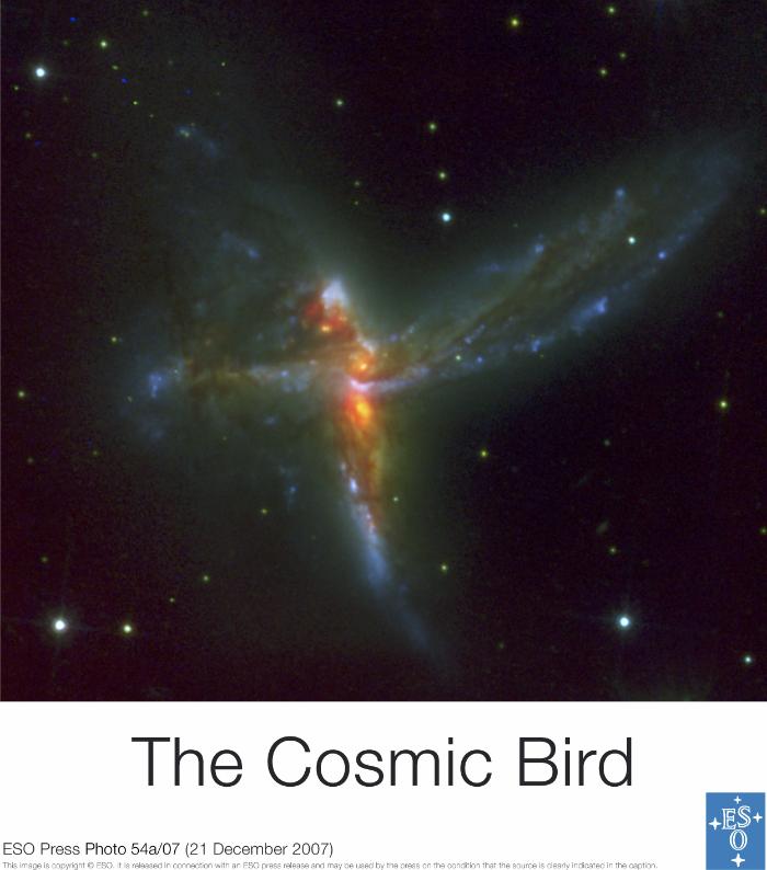 The Cosmic Bird 55a/2007
