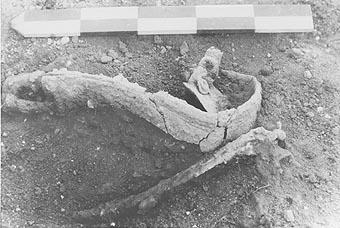 Falcata, doblada intencionalmente, en el momento de la excavación. Sepultura 258 de El Cabecico del Tesoro (Murcia). Detrás, una manilla de escudo; en primer plano, punta de lanza.