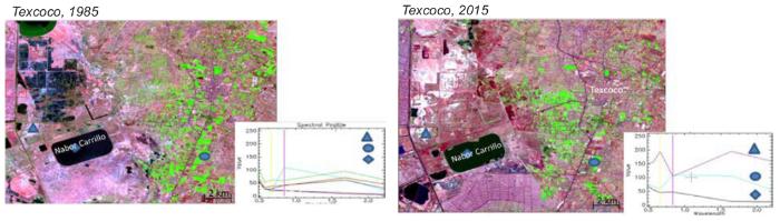 Imágenes Landsat 5 y 8 del Valle de Texcoco, México