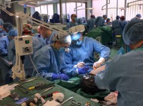 Laboratorio de Anatomía Aplicada: X Curso-Taller Intensivo de Colgajos en Cirugía Reconstructiva