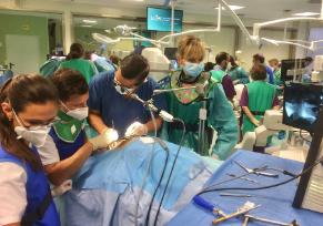 Participantes en el Curso Práctico de Cirugía en Cadáver Sobre Diseño de Abordajes Quirúrgicos en Cirugía Raquimedular