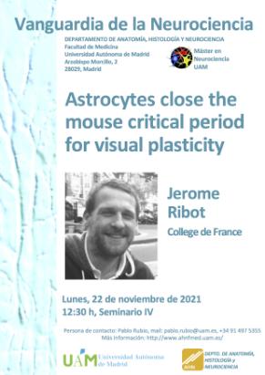 Cartel del Seminario Vanguardia de la Neurociencia «Astrocytes close the  mouse critical period for visual plasticity». Jerome Ribot.