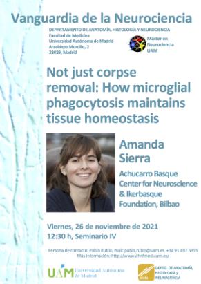Cartel del Seminario Vanguardia de la Neurociencia «Not just corpse removal: How microglial phagocytosis maintains tissue homeostasis». Amanda Sierra.