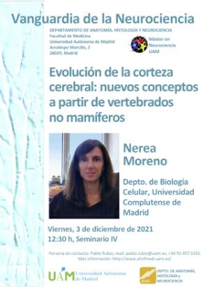 Cartel del Seminario Vanguardia de la Neurociencia «Evolución del la corteza cerebral: nuevos conceptos a partir de vertebrados no mamíferos». Nerea Moreno.