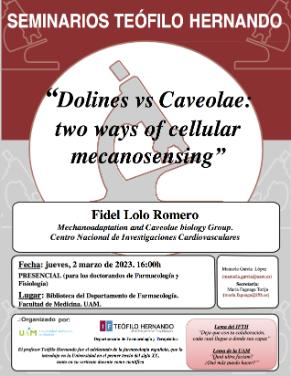 Cartel del Seminario Teófilo Hernando: «Dolines vs Caveolae: two ways of cellular mecanosensing»