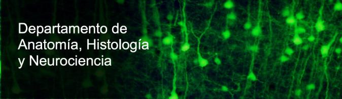 Departamento de Anatomía, Histología y Neurociencia de la UAM