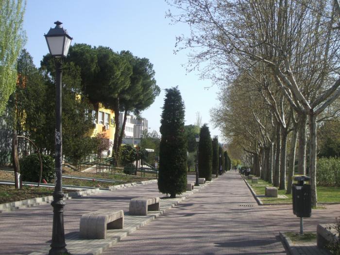 Paseo hacia la Facultad