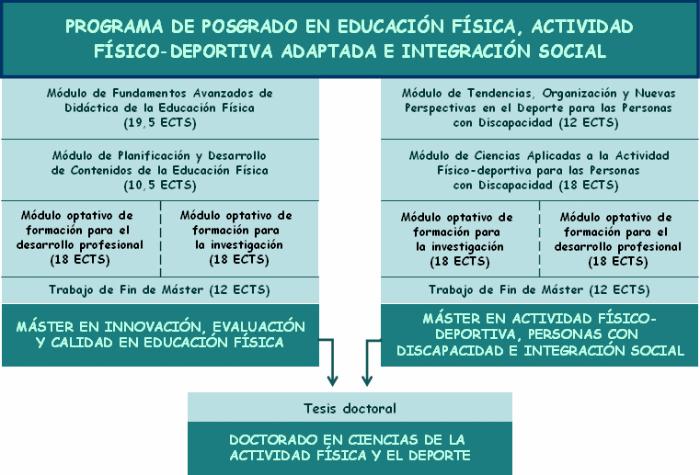 Estructura del Programa Oficial de Posgrado 