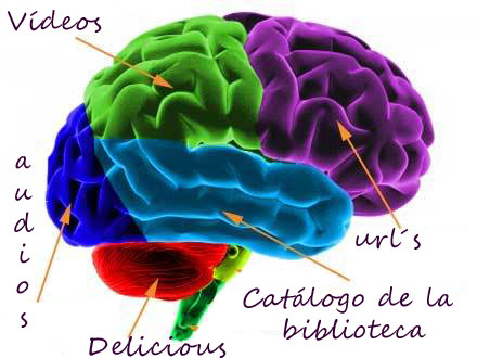 cerebro