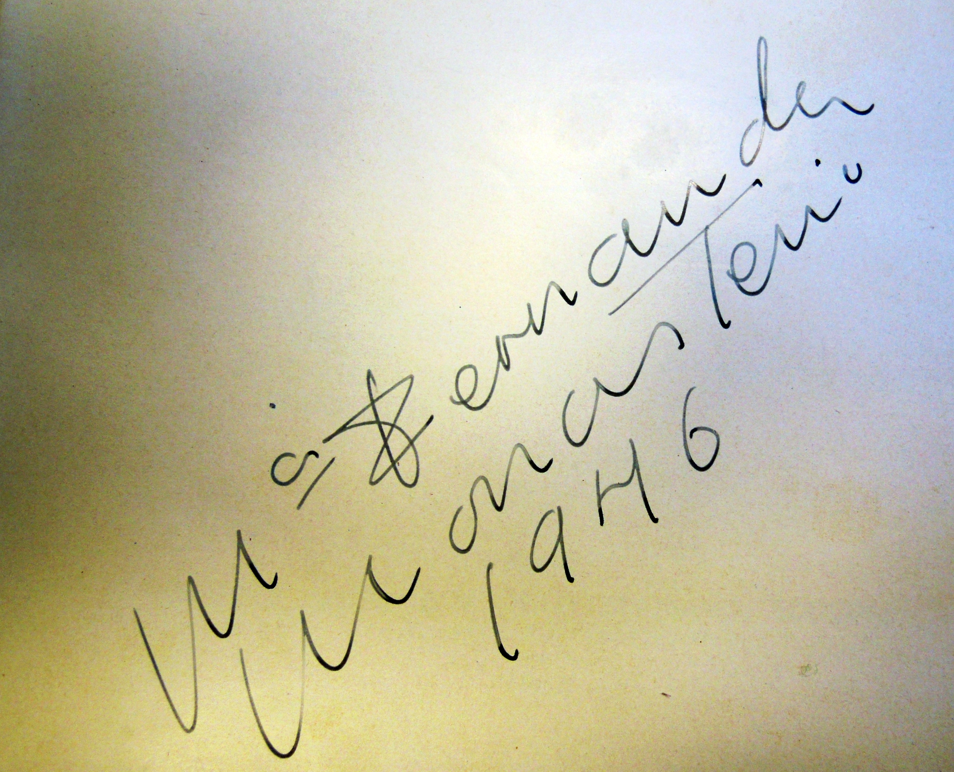 Terman Firma