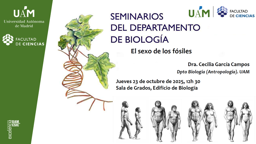 Cartel del Seminario de Cecilia García Campos