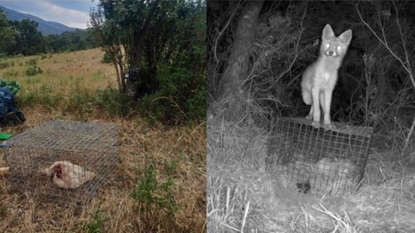 Imagen del trabajo de campo previo del proyecto ganador