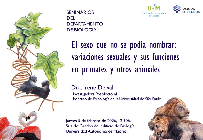 Cartel del Seminario de Irene Delval
