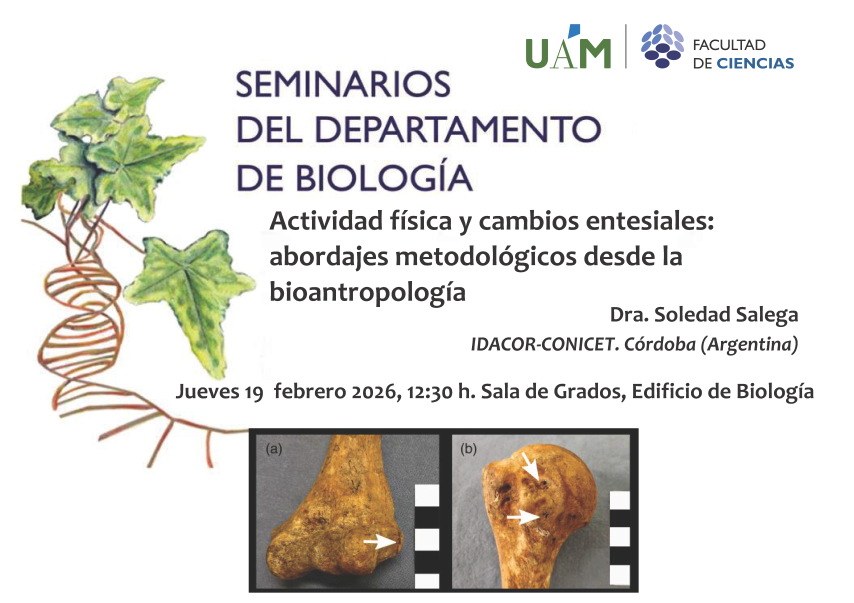 Cartel del Seminario de Soledad Salega