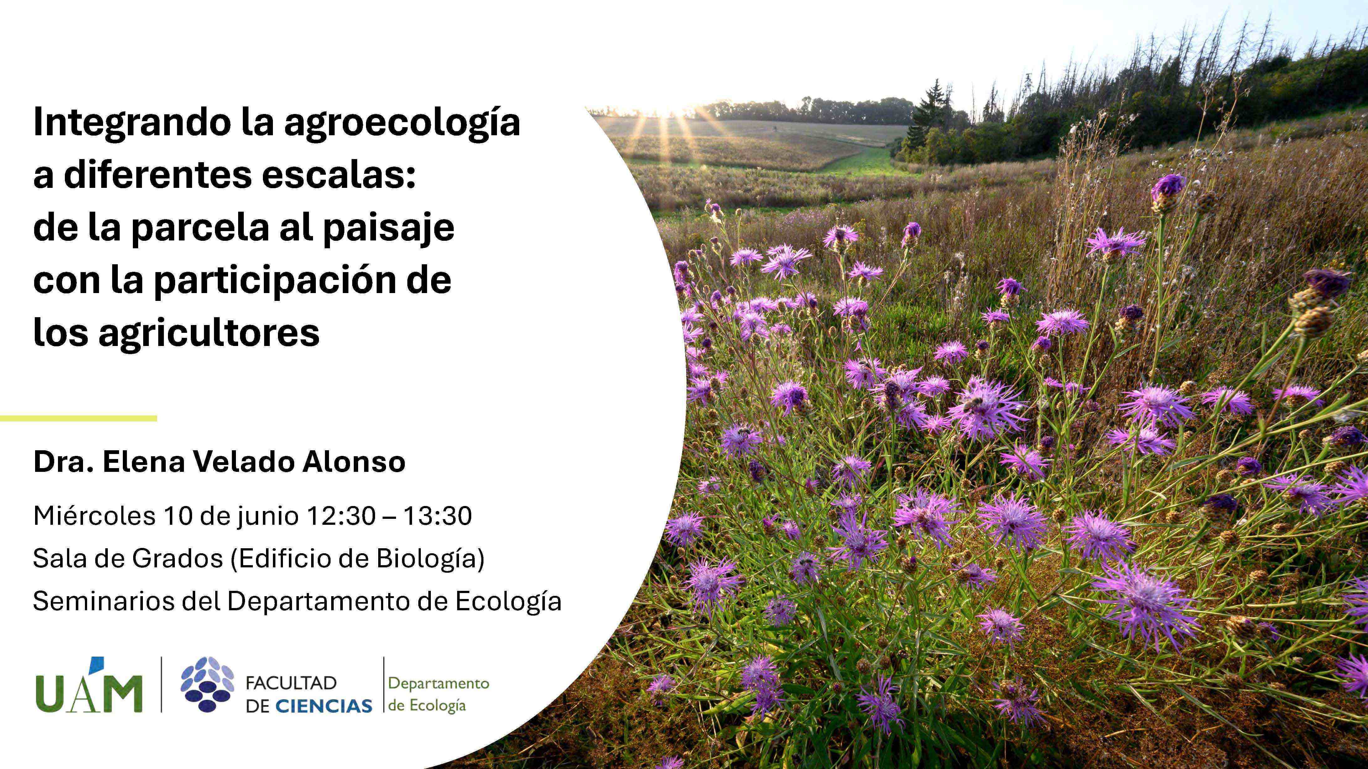 Seminario