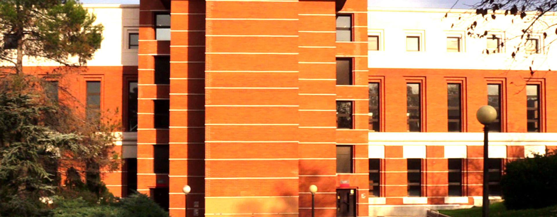 Banner_DDPSYE
