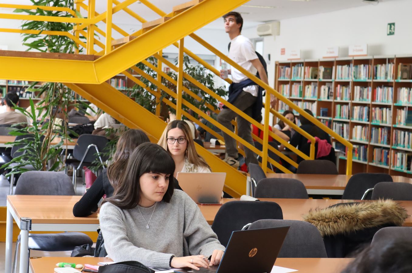 biblioteca