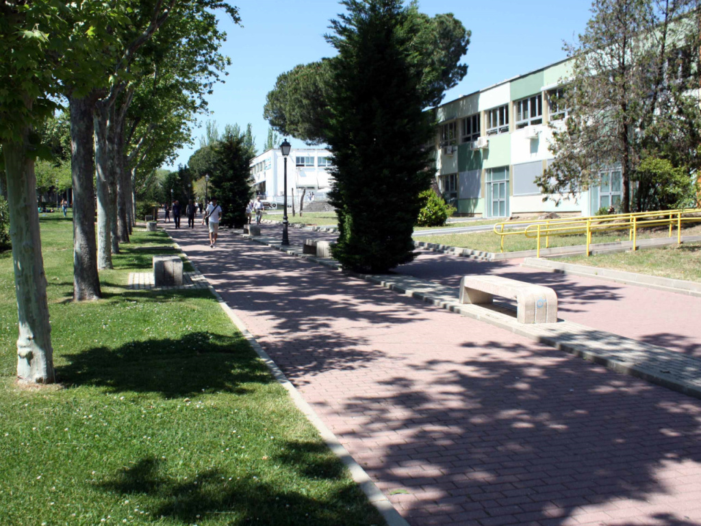 Paseo facultad de profesorado