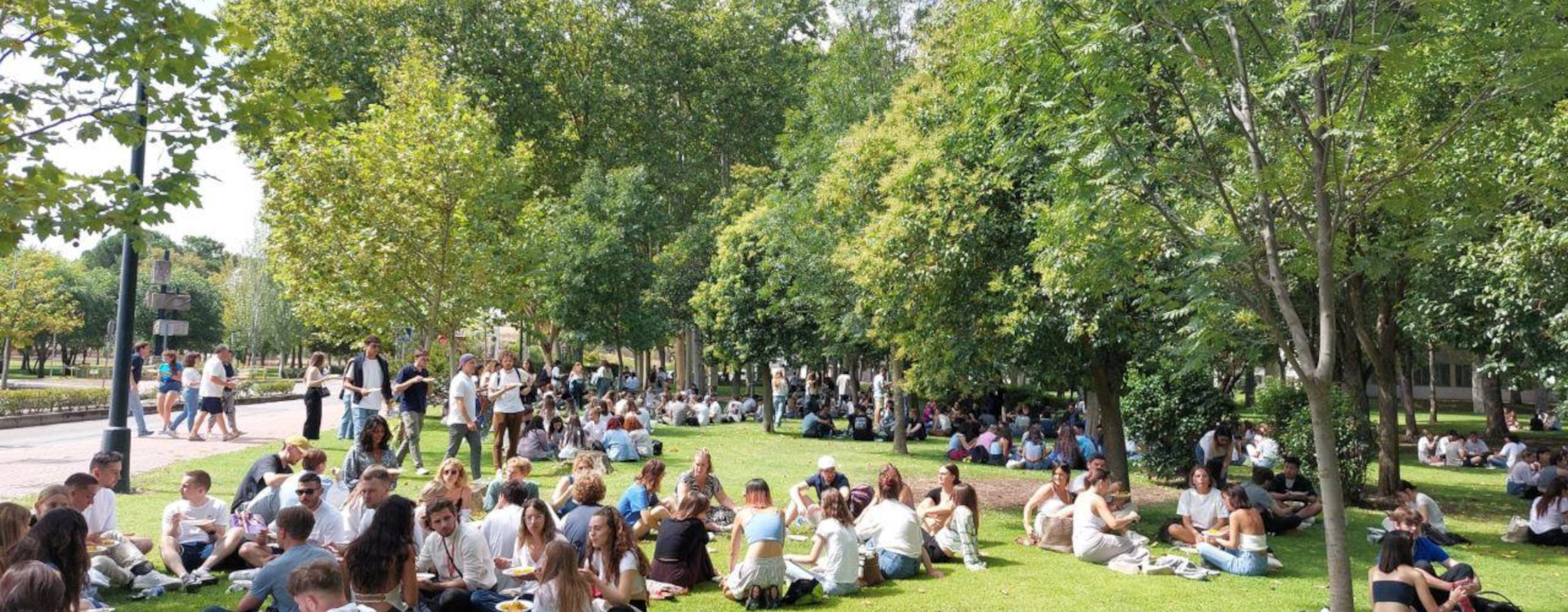 Estudiantes sentados en el cesped